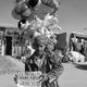 Image for article titled Photos: To Boston. From Kabul. With Love.